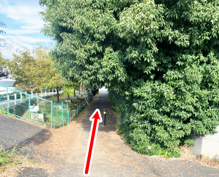 辰ノ口橋交差点を渡ってすぐ、生きい茂った木の下の写真
