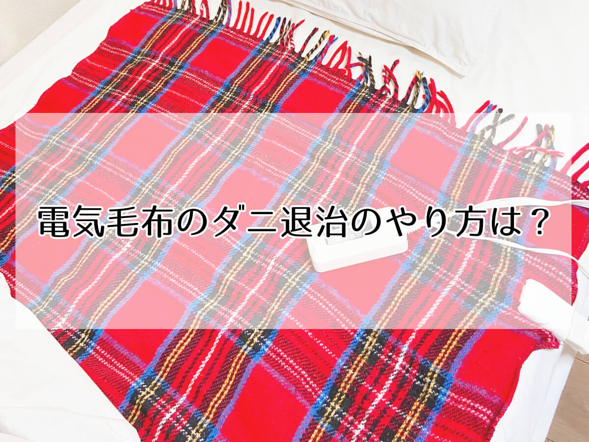 電気毛布のダニ退治のやり方は？のイメージ画像