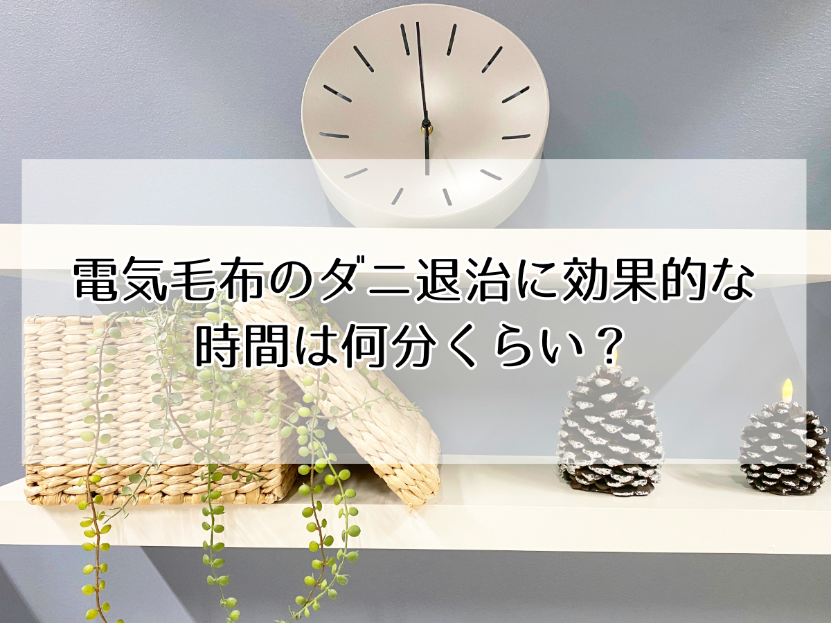 電気毛布のダニ退治に効果的な 時間は何分くらい？のイメージ画像