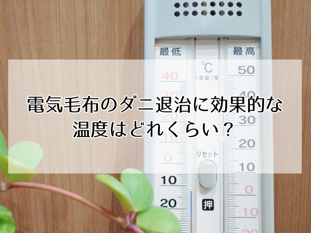 電気毛布のダニ退治に効果的な 温度はどれくらい？のイメージ画像