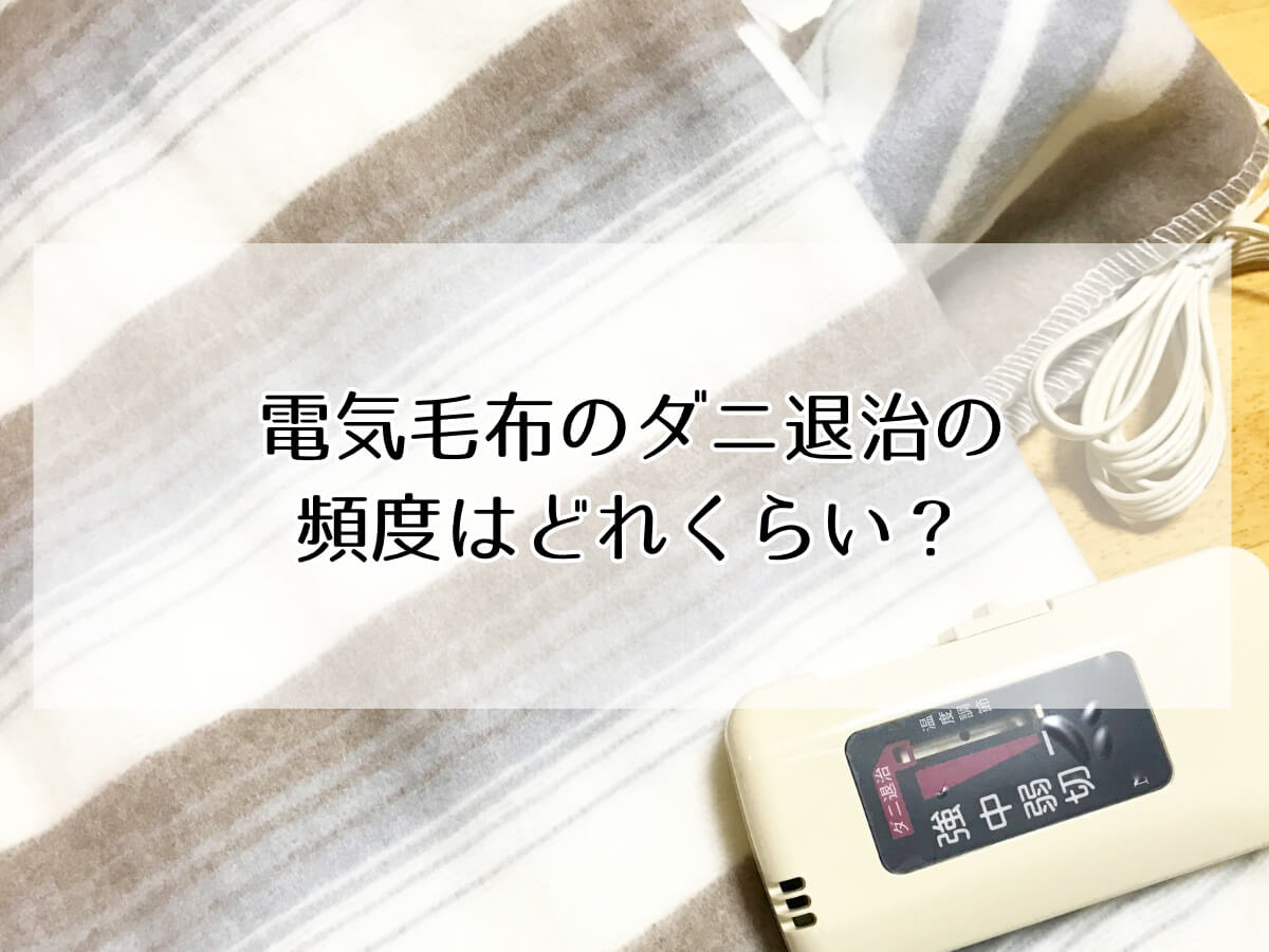 電気毛布のダニ退治の 頻度はどれくらい？のイメージ画像