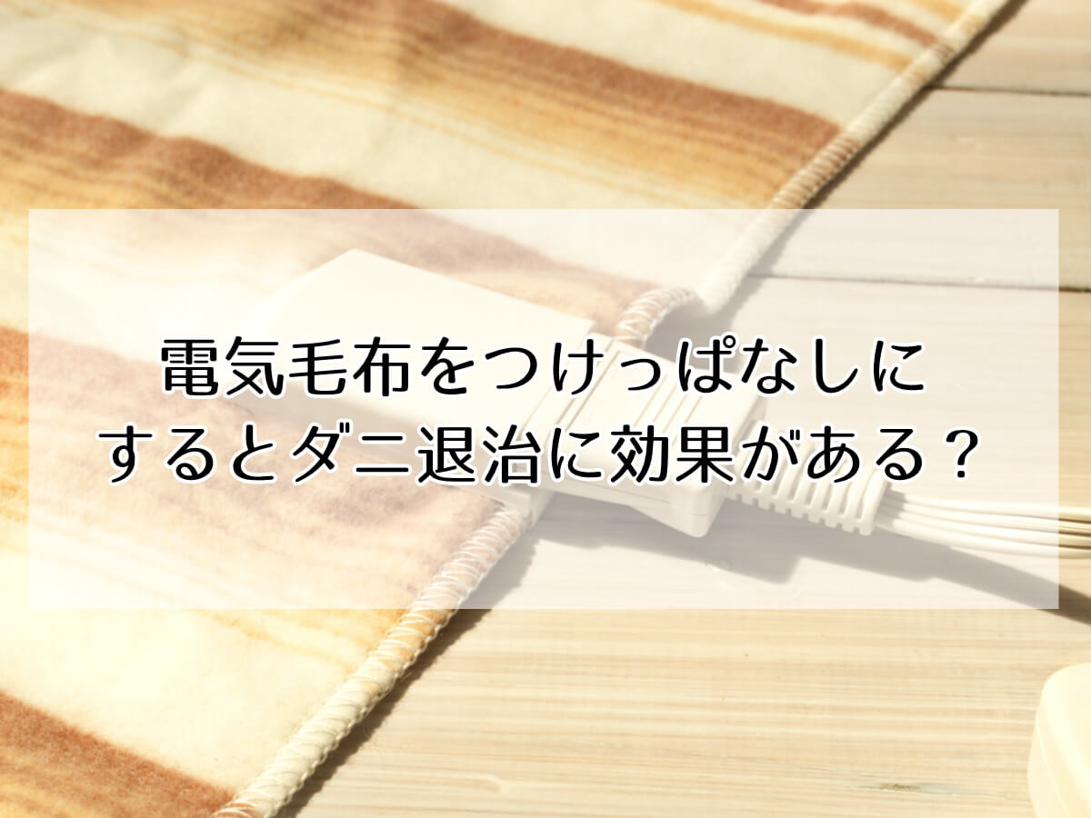 電気毛布をつけっぱなしに するとダニ退治に効果がある？のイメージ画像