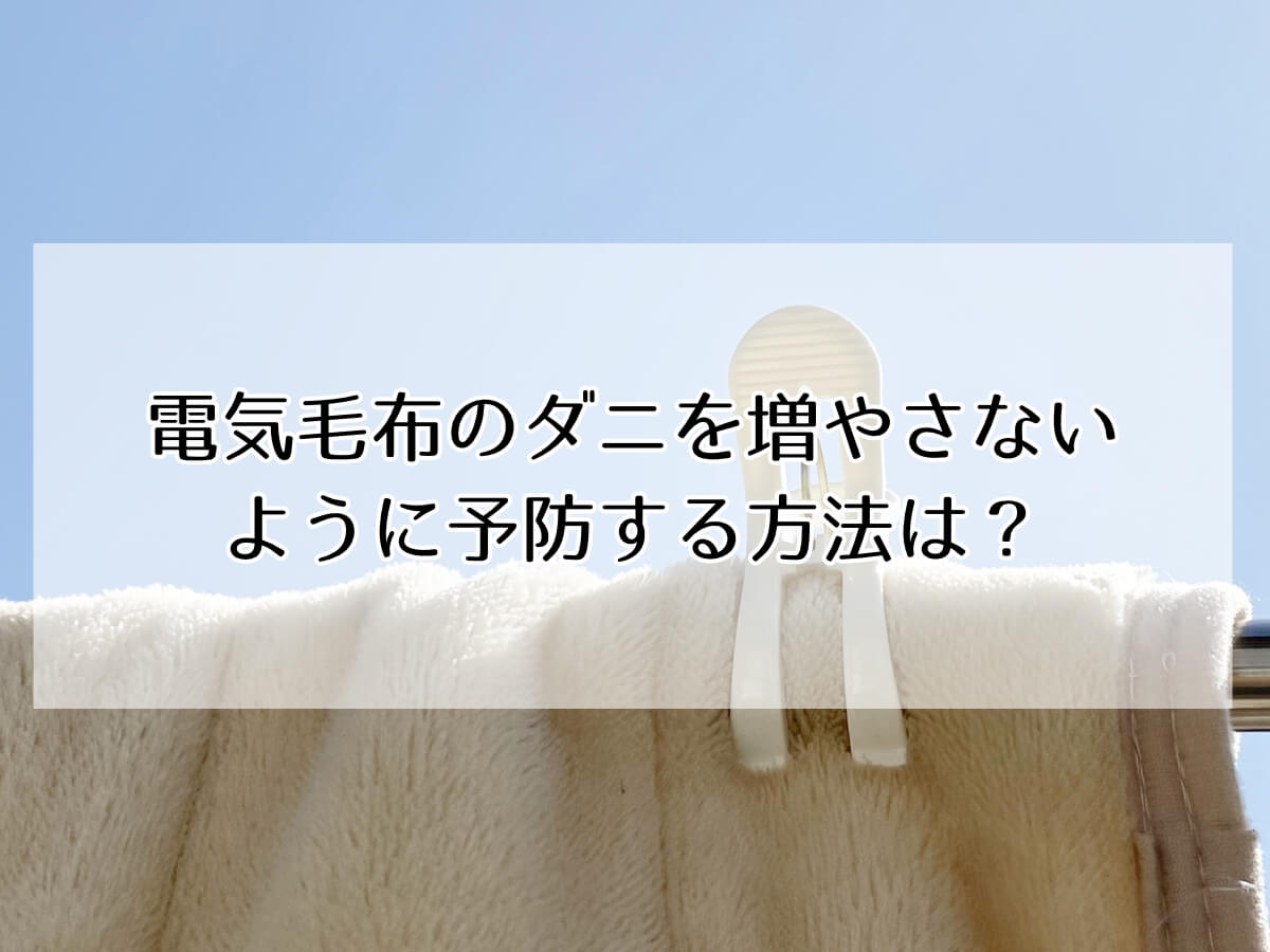 電気毛布のダニを増やさない ように予防する方法は？のイメージ画像