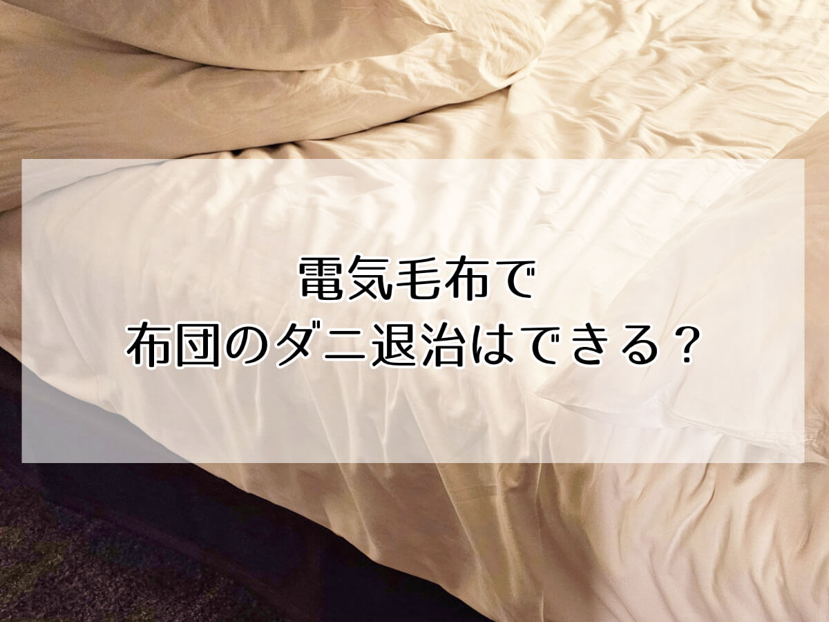 電気毛布で 布団のダニ退治はできる？のイメージ画像