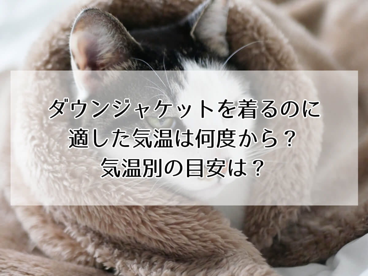 ダウンジャケットを着るのに適した気温は何度から？気温別の目安は？のイメージ画像